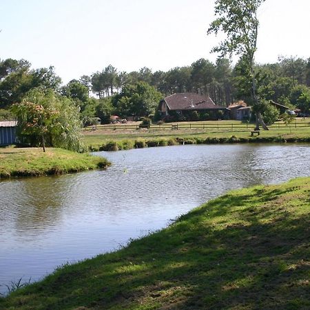 Gite 4Kms Plage Grand Domaine Prive Lacs Natura 2000 Lit-et-Mixe Ngoại thất bức ảnh