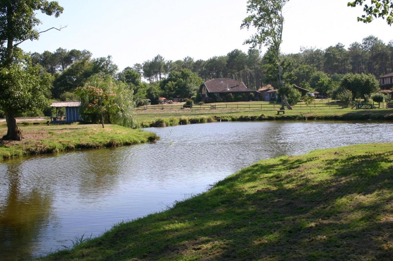 Gite 4Kms Plage Grand Domaine Prive Lacs Natura 2000 Lit-et-Mixe Ngoại thất bức ảnh